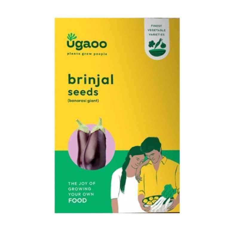 Ugaoo 2g Vegetable Brinjal Banarshi Giant Seeds, NUVSO066