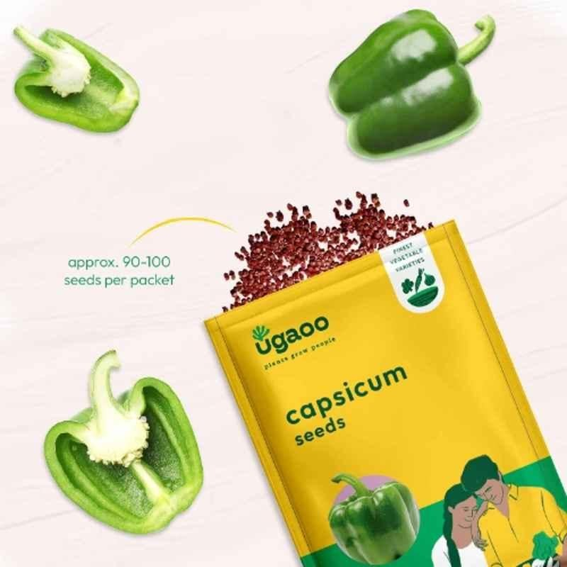 Ugaoo 500g Vegetable Capsicum Seeds, NUVSO116 - Image 2