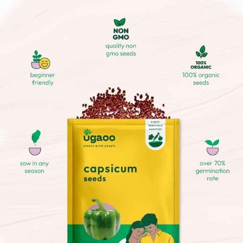 Ugaoo 500g Vegetable Capsicum Seeds, NUVSO116 - Image 6