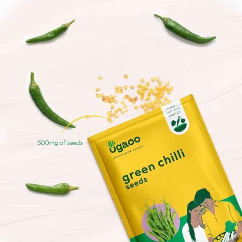 Ugaoo 100g Vegetable Green Chilli Seeds, NUVSO143 - Image 2