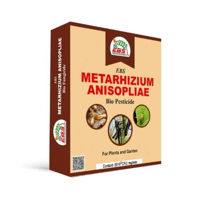 EBS 1kg Metarhizium Anisopliae Bio Pesticide for Control Root Weevils, Plant Hoppers, Japanese Beetle & Black Vine Weevil