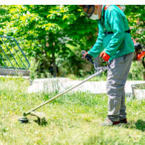 BRUSH CUTTER || BC-SP35 || VINGLOB GREENTECH (I) - Image 2