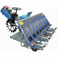 TRANSPLANTER